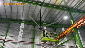 Quạt trần cánh lớn Kale