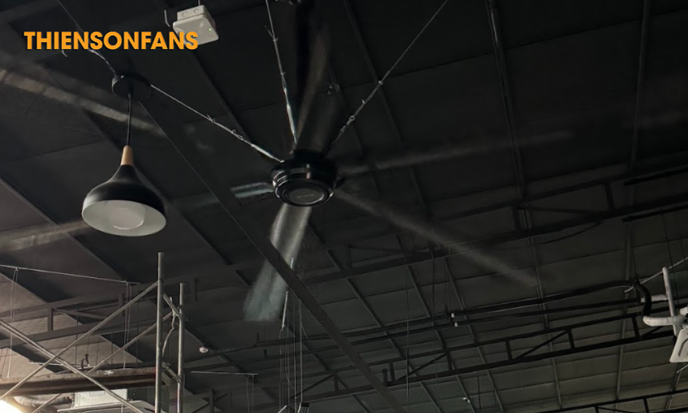 Quạt trần công nghiệp Zephyrus HVLS-D6AAA61 13 Thiên Sơn Fans tiếp tục lắp đặt quạt cho Lion Fitness tại Hà Nội