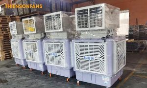 Quạt hơi nước khủng long di động TSF - KL02 6 Quạt hơi nước khủng long