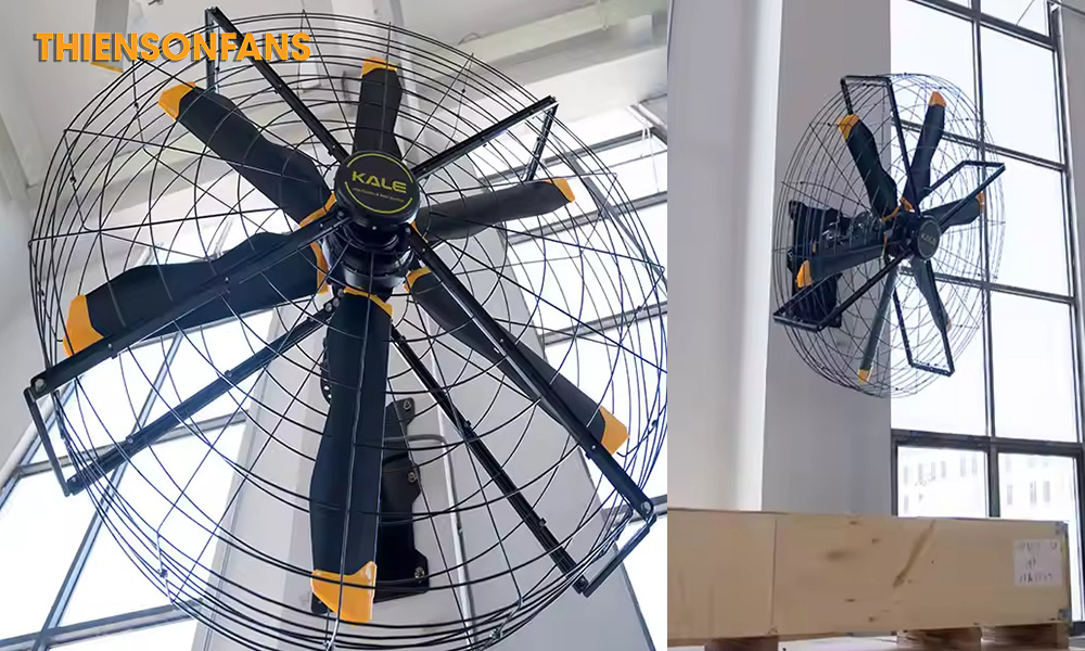 Quạt công nghiệp Airfree - sức mạnh và hiệu quả ấn tượng